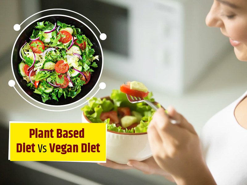 Plant-Based Diet Or Vegan Diet: Which One Should You Choose?